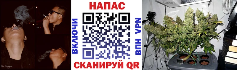 Бошки Шишки сатива Володарск